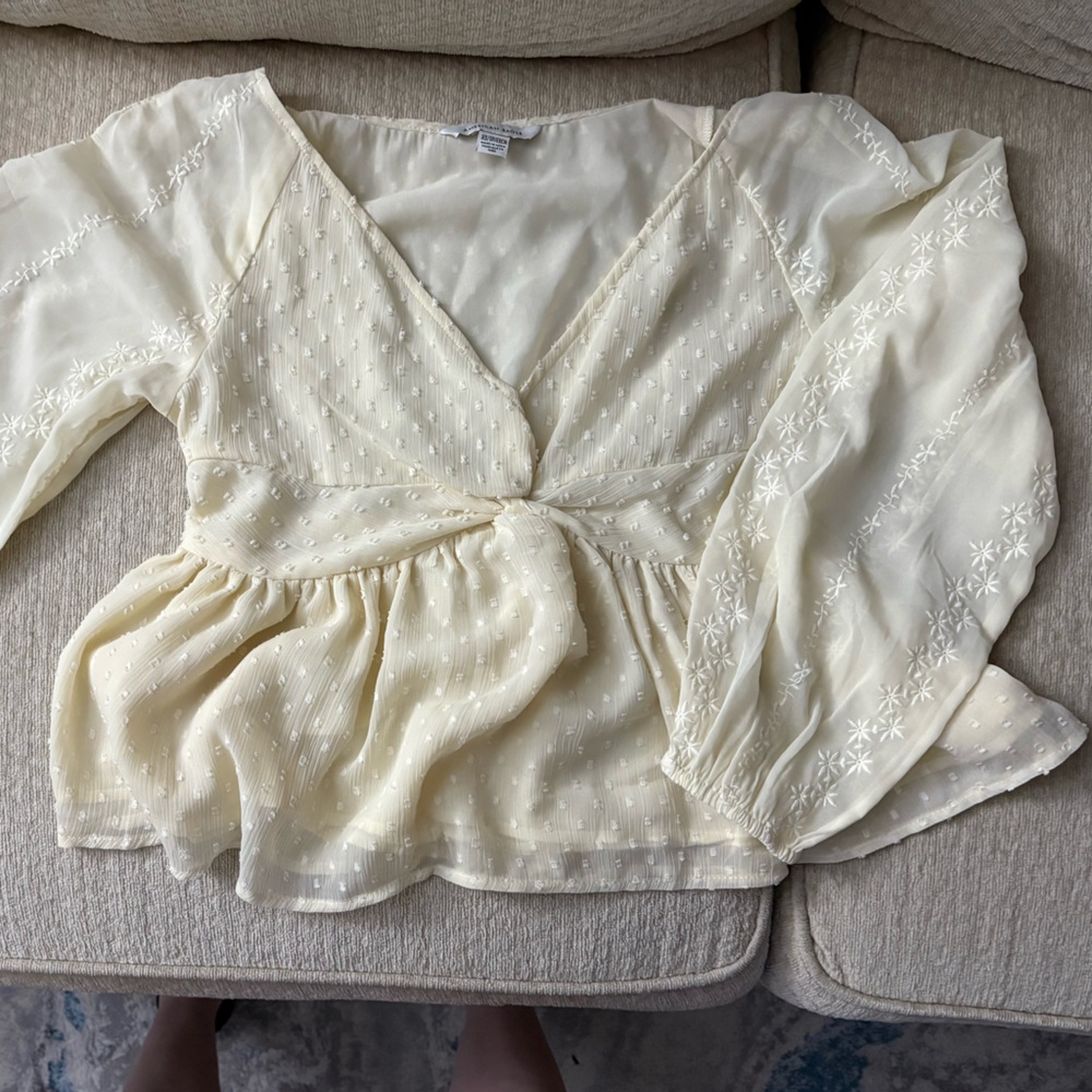 Cream Sheer Babydoll Blouse with Embroidered Sleeves